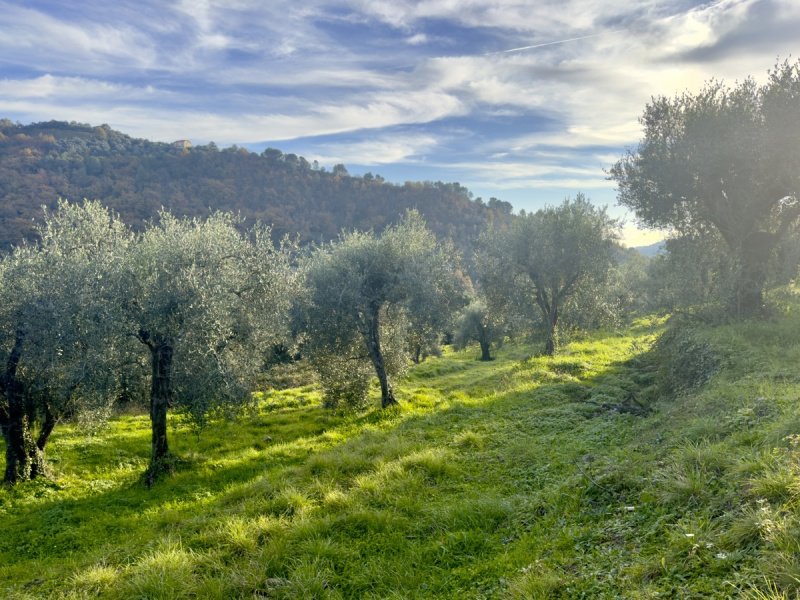 Byggtomt i Dolceacqua