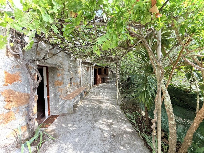 罗凯塔内尔维纳建筑用地