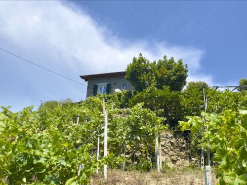 圣比亚焦德拉奇马乡间房屋