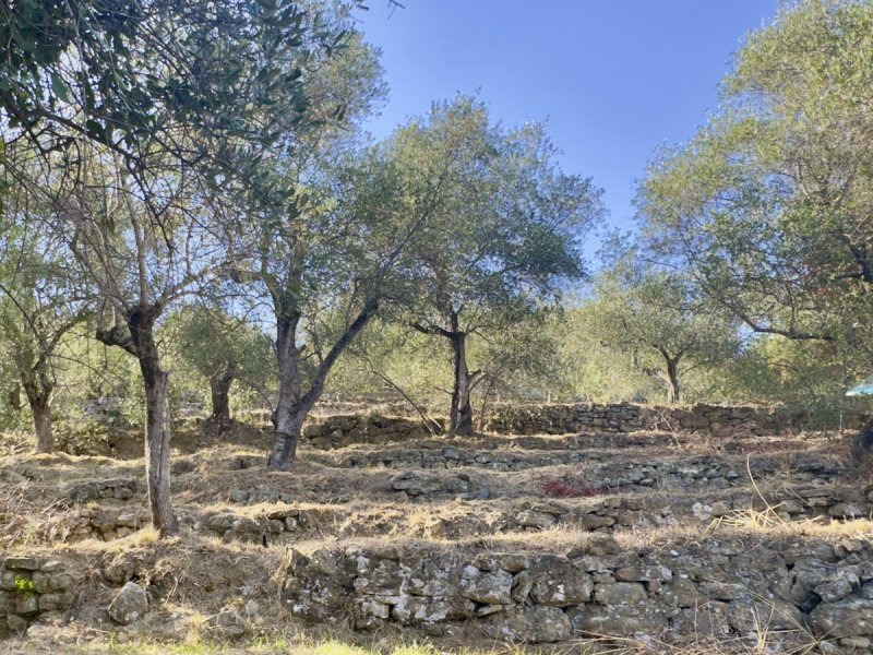 Terreno edificable en Dolceacqua