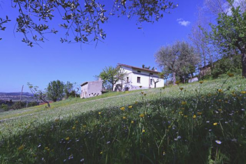 Villa i Ancarano