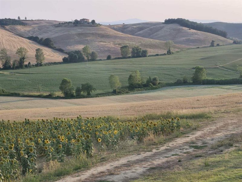Terreno agricolo a Castelnuovo Berardenga