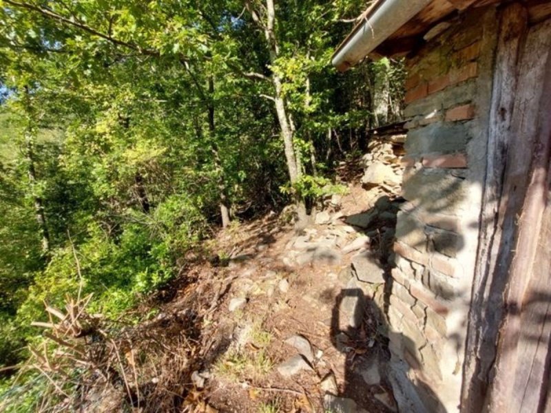 巴尼-迪卢卡乡间房屋