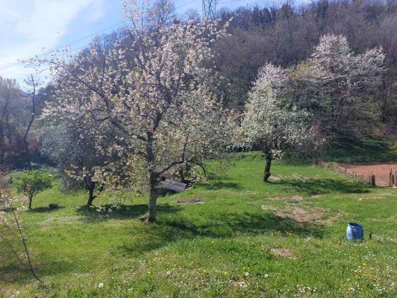 Huis op het platteland in Borgo a Mozzano