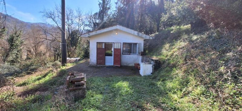 莫扎诺镇乡间房屋