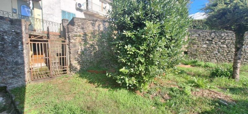 Hus från källare till tak i Barga