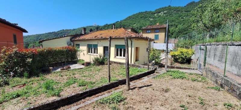 Top-to-bottom house in Borgo a Mozzano