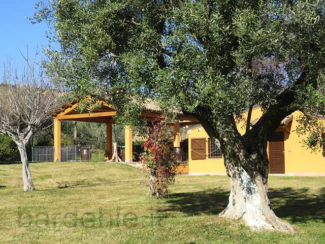 Country house in Osimo