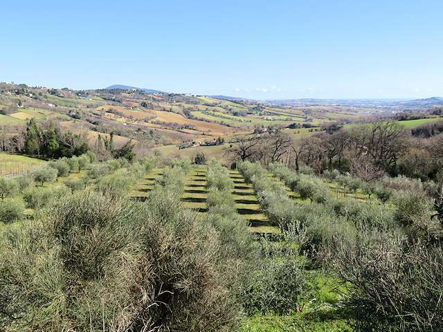 Casa de campo em Osimo