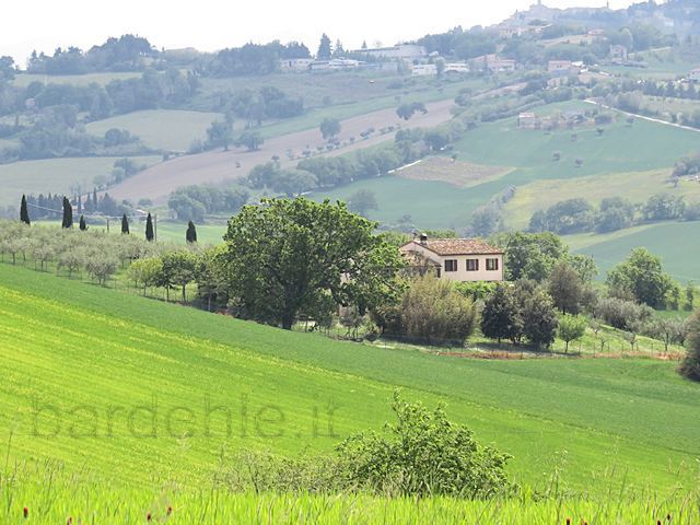 Country house in Montecarotto