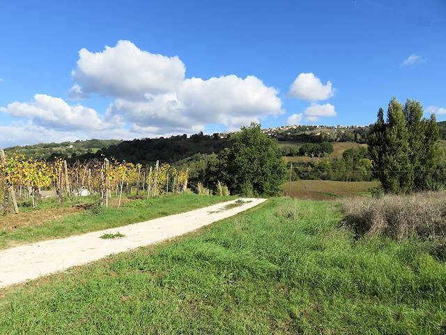 Casa di campagna a Cupramontana