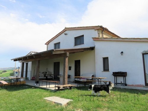Country house in Apiro