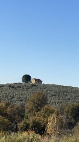 Lantgård i Scansano