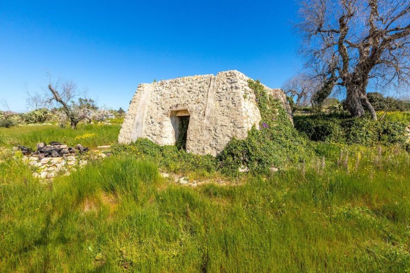 Trullo a Morciano di Leuca