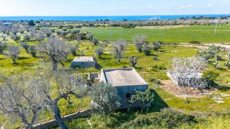 Trullo a Morciano di Leuca