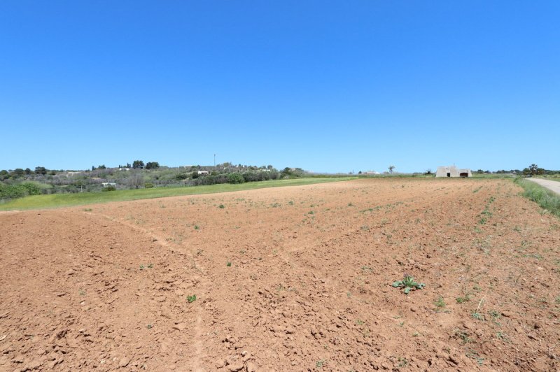 Terreno edificable en Salve