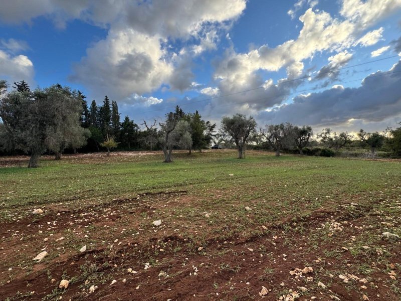 Villa à Carovigno
