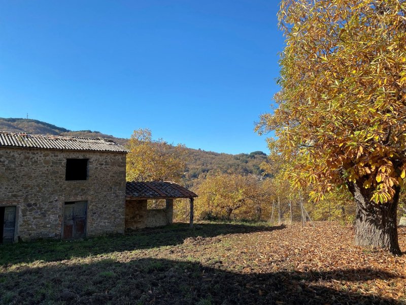 Country house in Greve in Chianti