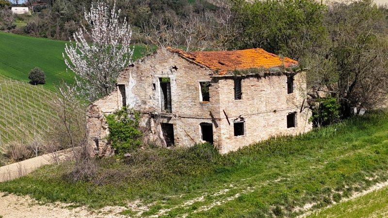 Lantställe i Ripatransone