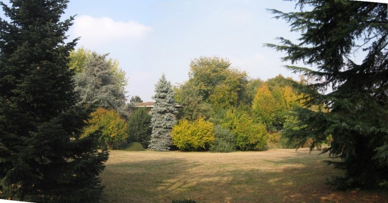 韦罗拉韦基亚别墅