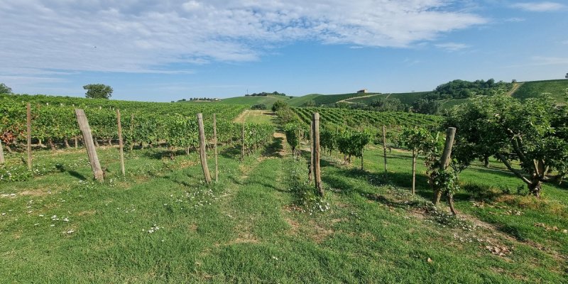 Villa i Castelnuovo Calcea