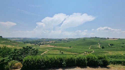 Exploitation agricole à Moasca