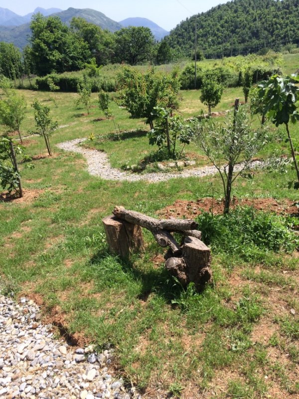 Villa i Santa Domenica Talao