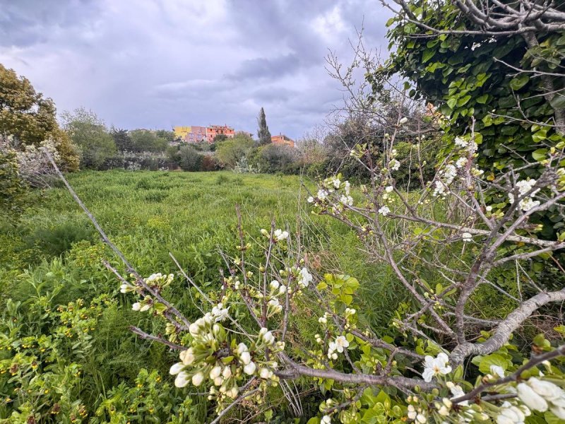 Villa en Magomadas