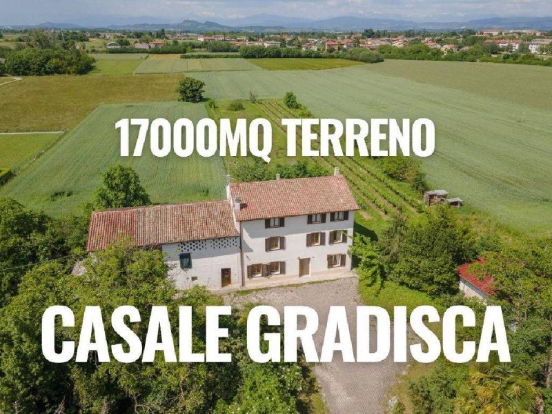 Lantställe i Gradisca d'Isonzo