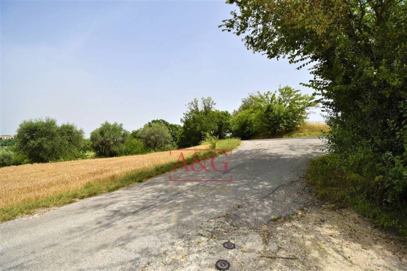 Terreno agricolo a Torre San Patrizio