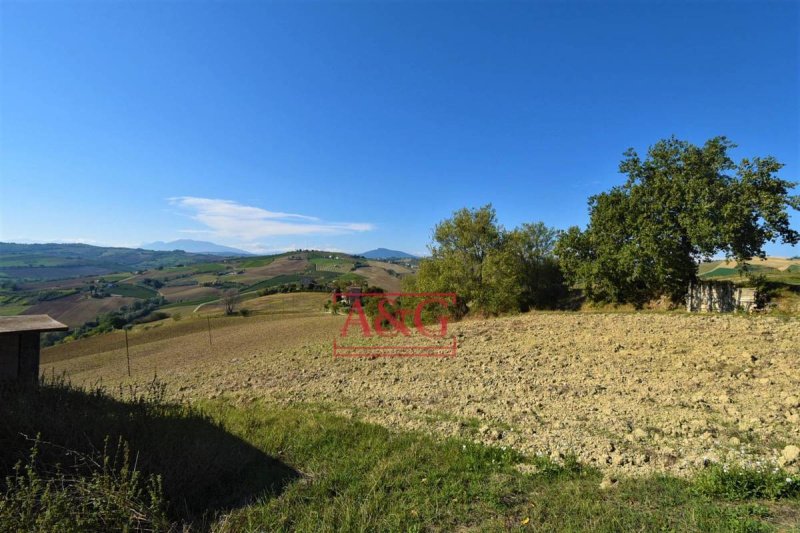 Agricultural land in Carassai