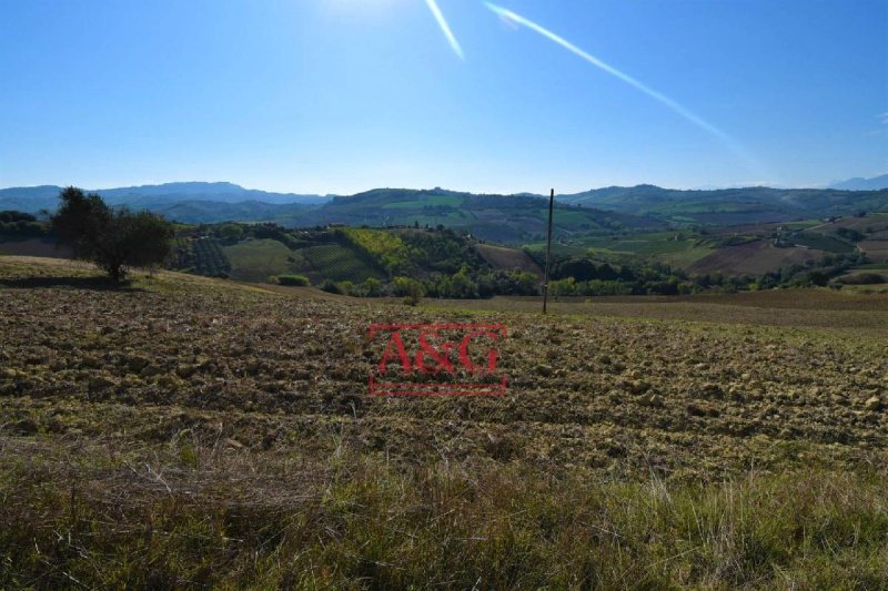 Terrain agricole à Carassai