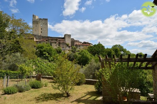 Дом в Cortona