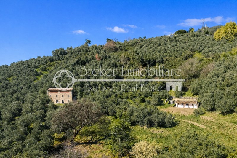 Klein huisje op het platteland in Camaiore
