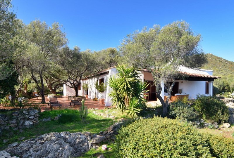 Villa in Golfo Aranci