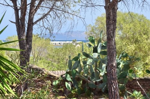 Casa semi indipendente a Olbia