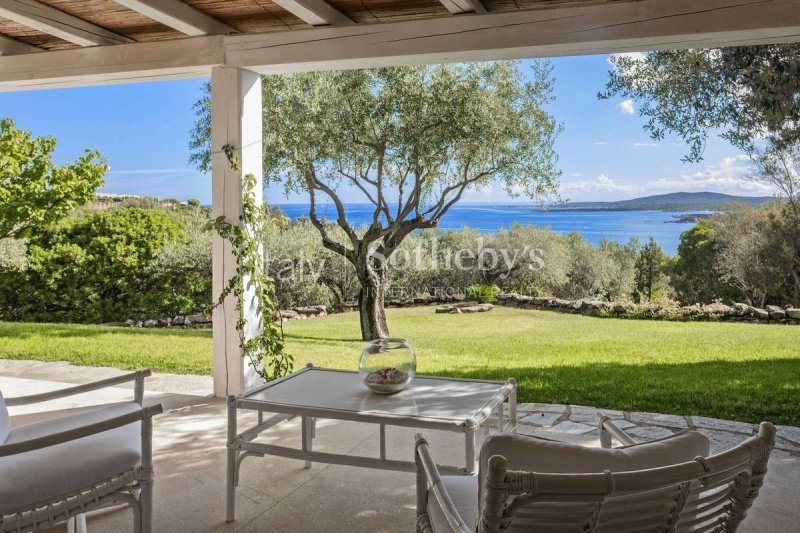 Особняк в Ольбия