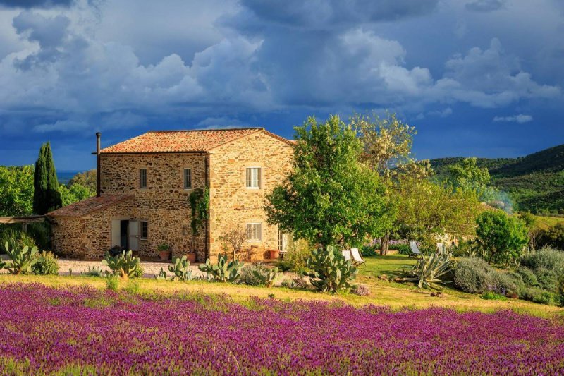 Solar em Manciano