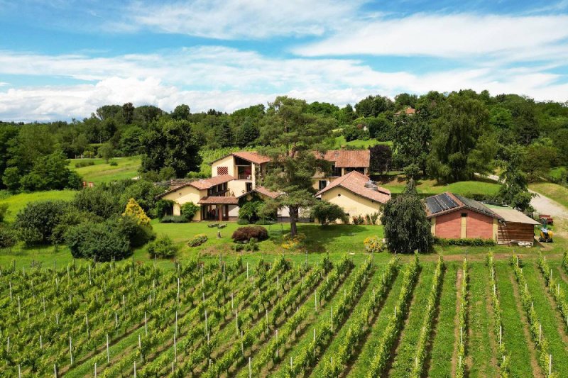 Особняк в Богоньо