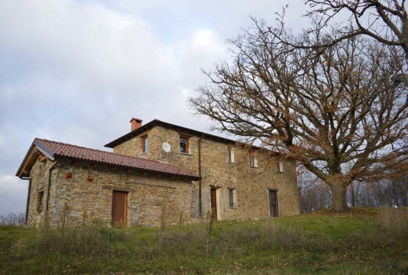 Farmhouse in Piana Crixia