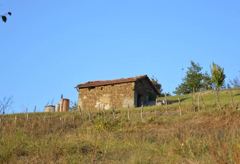 Casa a Piana Crixia