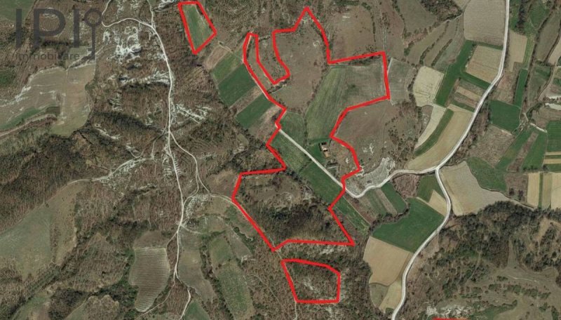 斯皮尼奥-蒙费拉托乡间房屋