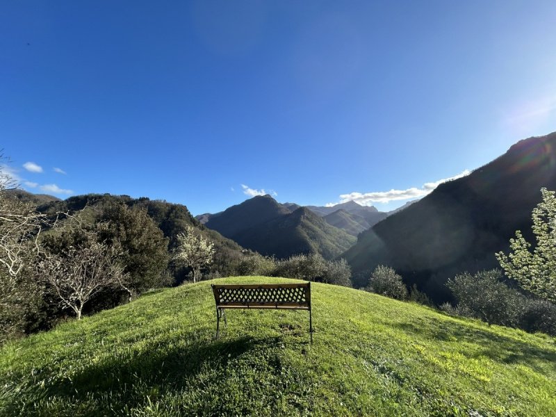 Lantställe i Fabbriche di Vergemoli