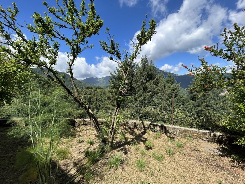 加利卡诺乡间房屋