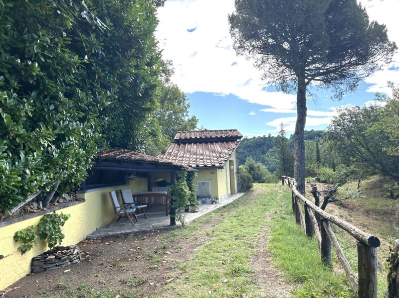 Коммерческая недвижимость в Барга