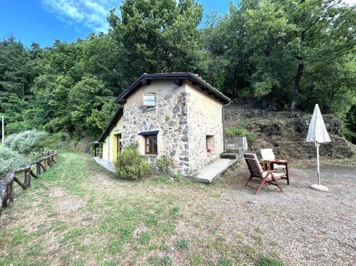 Коммерческая недвижимость в Барга