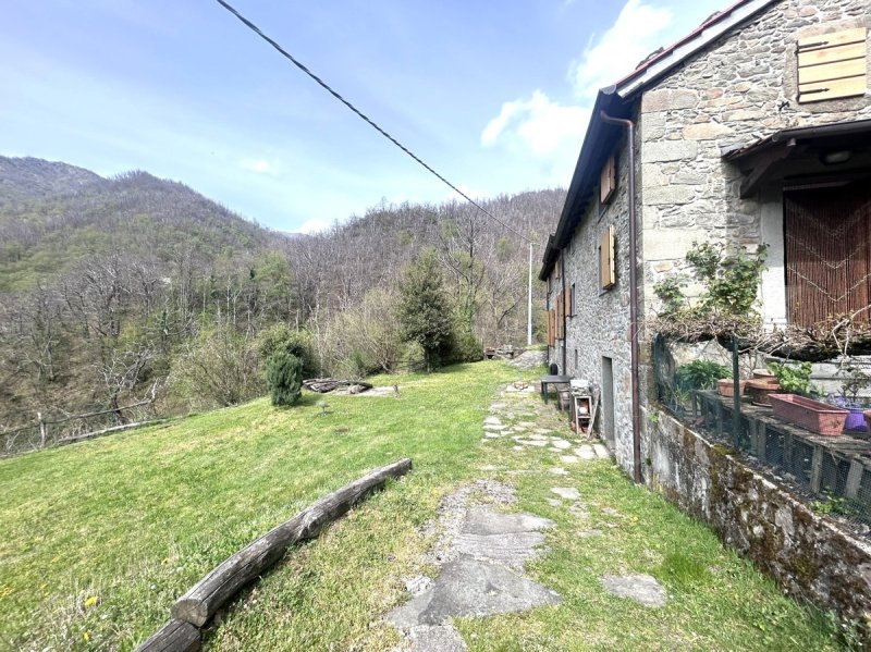 Landhaus in Coreglia Antelminelli
