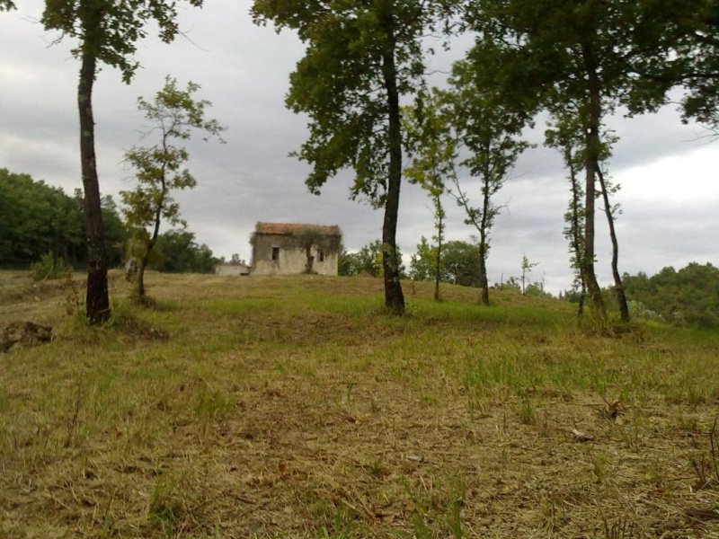 Casa Rural em Gallinaro