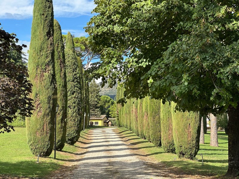 Вилла в Ананьи