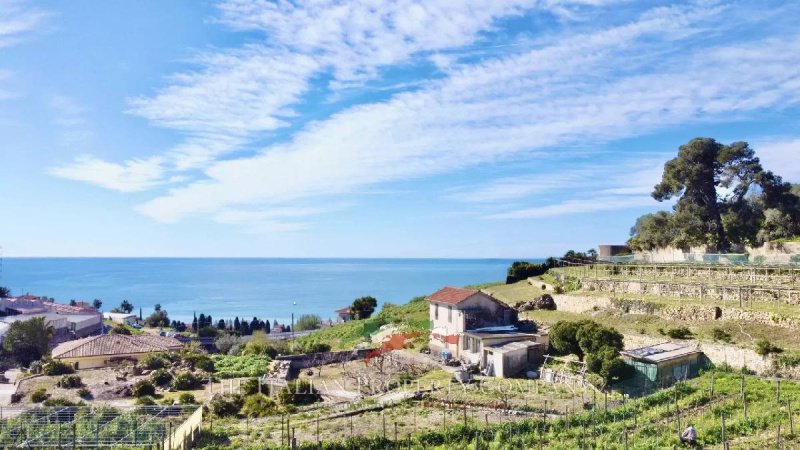 Terreno edificable en Bordighera